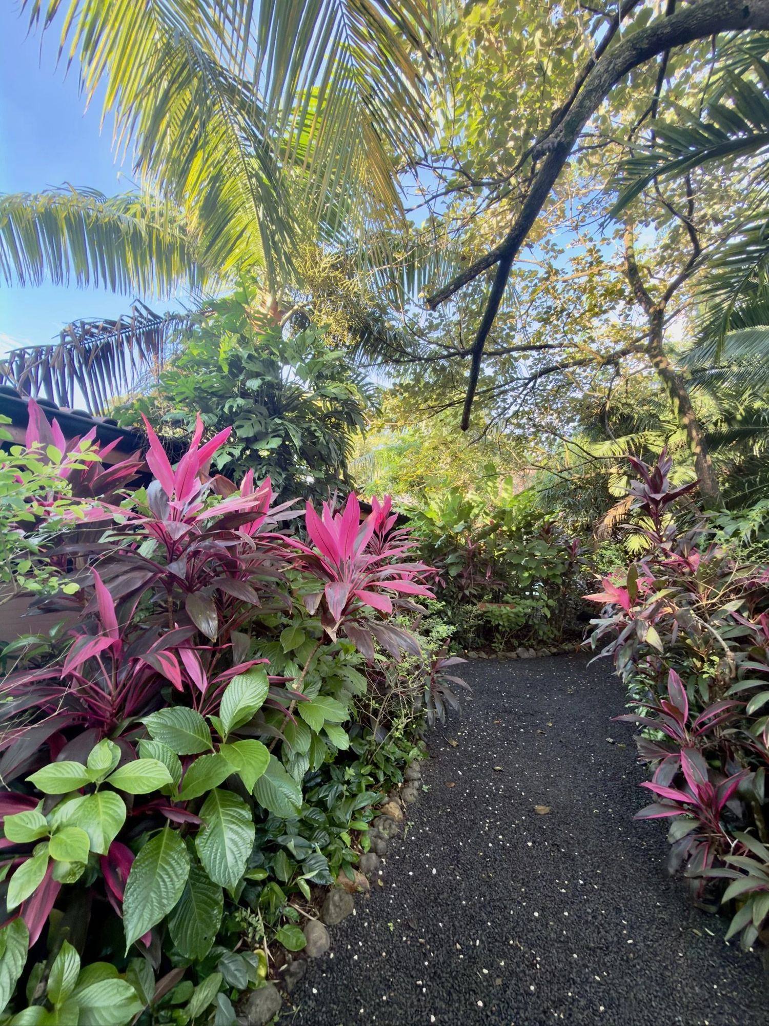 A path lined with pink and green tropical foliage